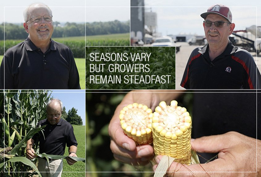 Two corn growers with 60+ years of experience share their tips to weather the storm during tough times.