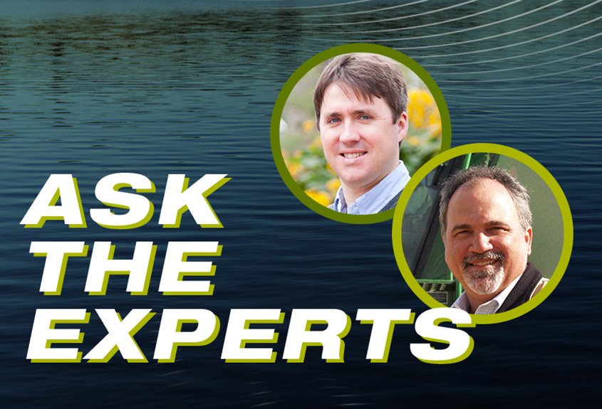 Ask the Experts: Stewardship in Action